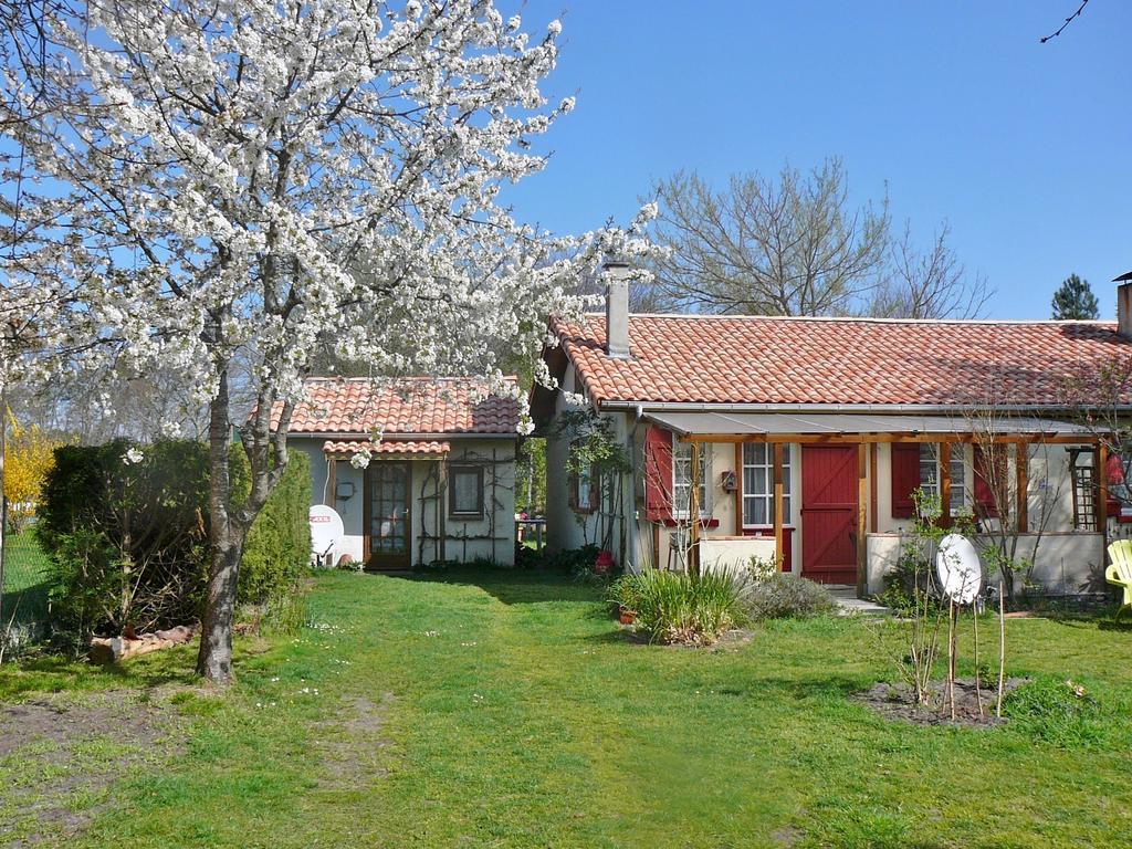 Guesthouse La Burle Parentis-en-Born Room photo