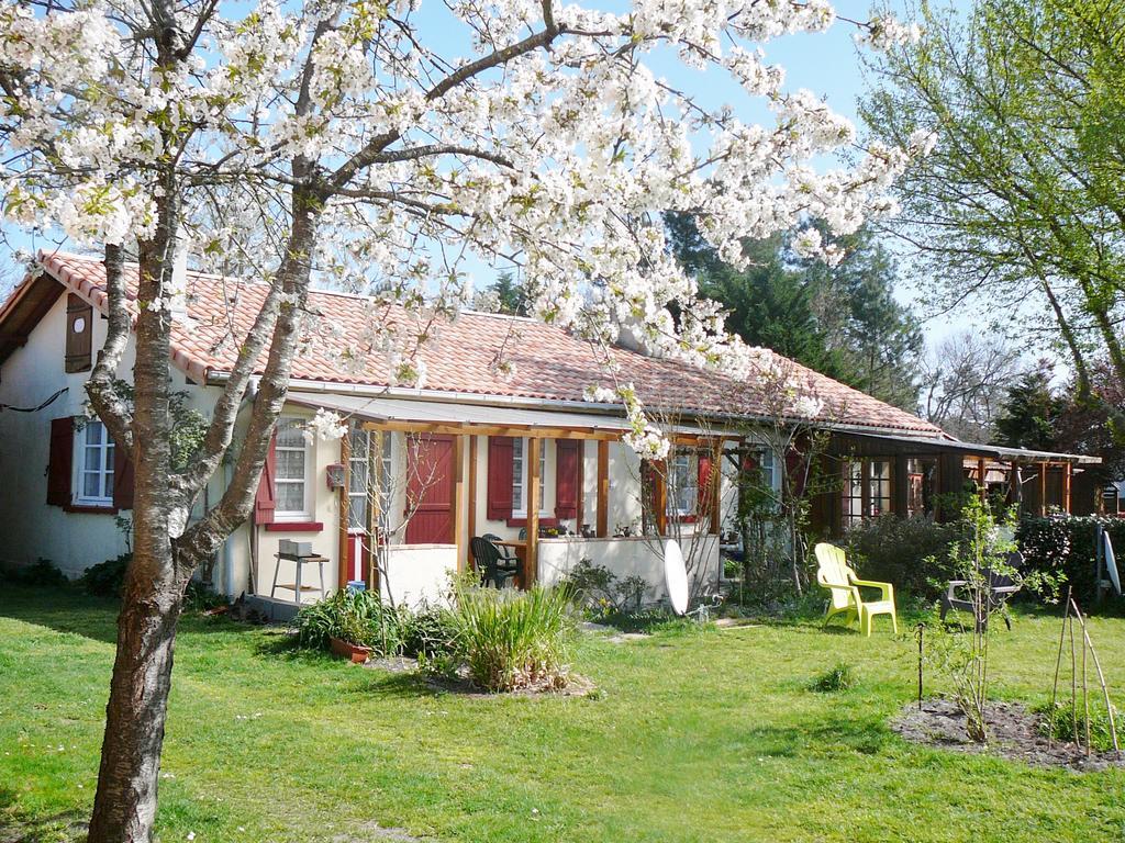 Guesthouse La Burle Parentis-en-Born Room photo
